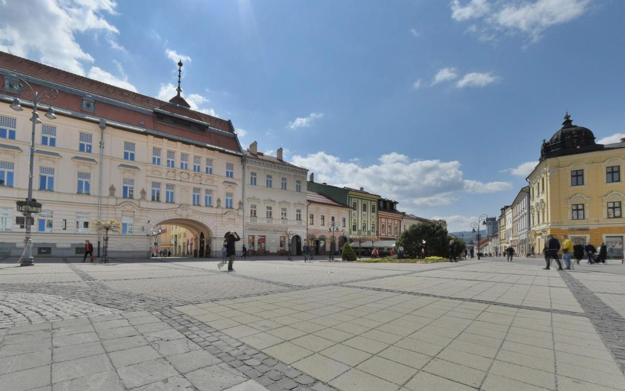 Big 75M2 Next To Opera Building In Direct Centrum, Air-Conditioned, Balcony, 24H Self Checking Банска-Бистрица Экстерьер фото